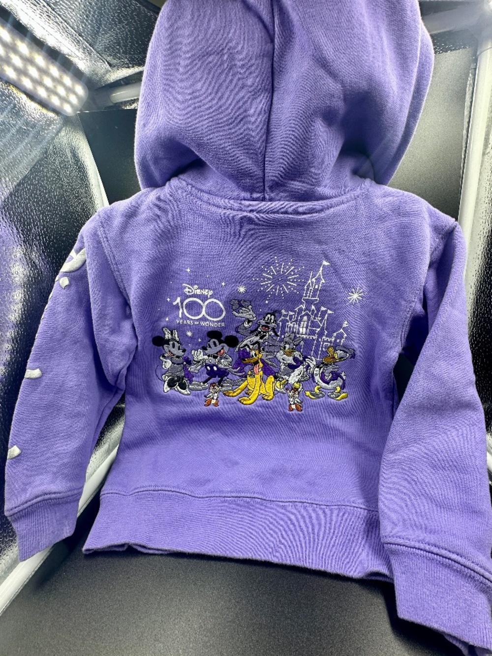 Disneyland Disney100 Years of Wonder Embroidered Sweatshirt – 3T